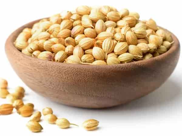 تصویر 3 از قیمت خرید بذر گشنیز خارجی با فروش عمده
